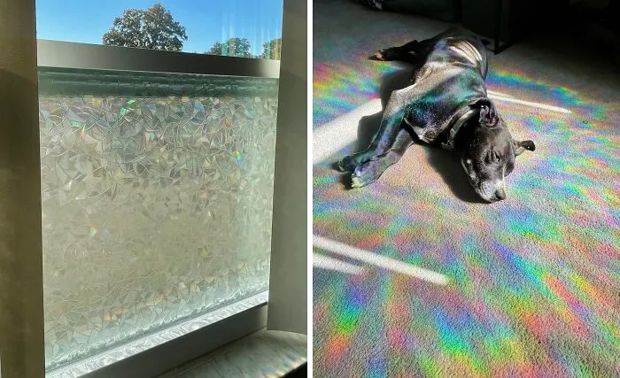 Add Some Secret Agent-Level Secrecy To Your Windows With This <a Style="Display:inline;" Href="Https://Www.amazon.com/Rabbitgoo-Privacy-Rainbow-Decorative-Non-Adhesive/Dp/B01n20yr6b?ie=utf8&th=1&linkcode=ll1&tag=bphorse-20&linkid=6970663c89da8afe791d8d097c84f18b&language=en_us&ref_=as_li_ss_tl" Target="_blank"><span Style="Font: Inherit; Color: #d74b1f;"> Window Privacy Film </Span>, A Peel-And-Stick Solution For Keeping Prying Eyes At Bay