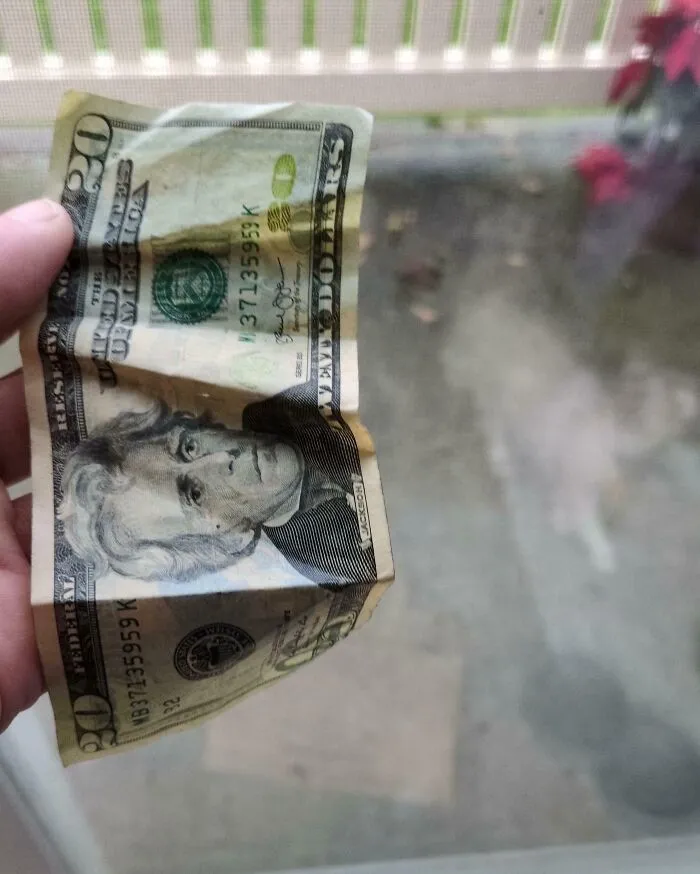 I Found This In The Spot Where I Feed My Crows Every Morning. It's Soaking Wet Because It Was Raining. But If They Did Drop It For Me, That's Absolutely Awesome