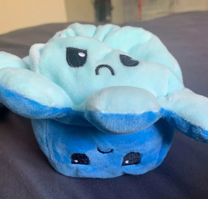 I Ordered A Happy Sad Octopus, Both Sides Came Sad,