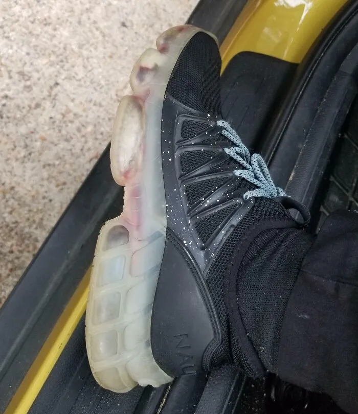 El zapato tiene agujeros en la suela de plástico que permite que el agua pase entre el estirofoma y el plástico. El resultado es una placa de petri móvil