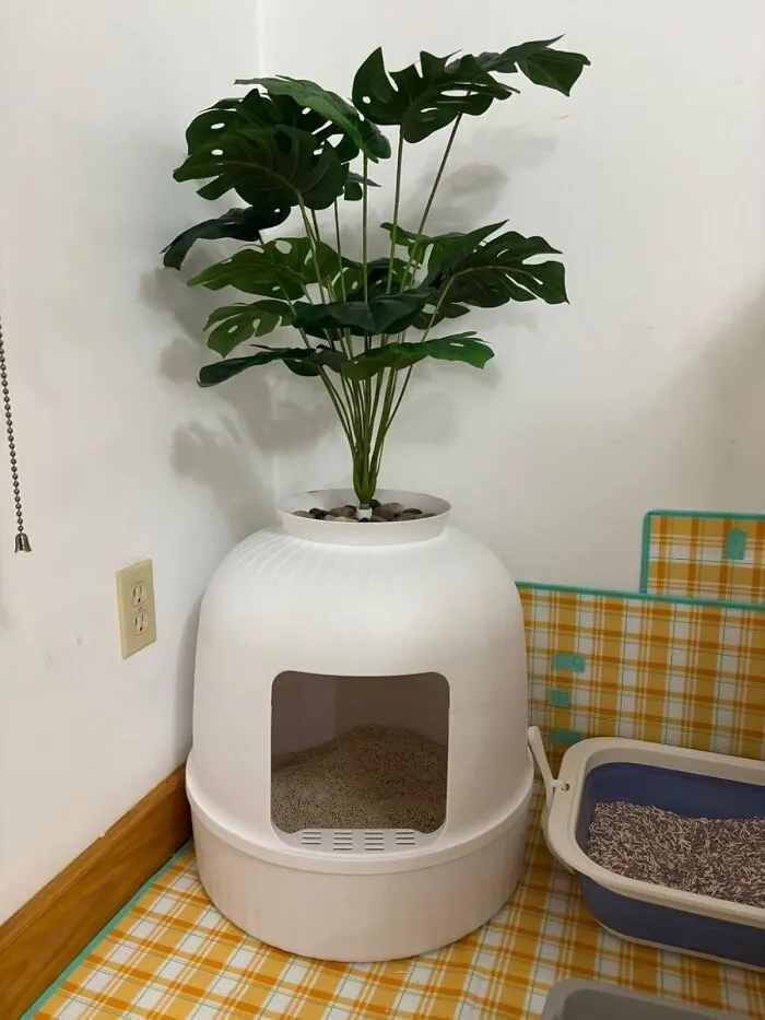 This <a Style="Display:inline;" Href="Https://Www.amazon.com/Lifewit-Enclosure-Control-Bedroom-Bathroom/Dp/B0ctg5wfb1?ie=utf8&th=1&linkcode=ll1&tag=artandesignews-20&linkid=10cdce4cd9a792921117e03b21f6637e&language=en_us&ref_=as_li_ss_tl" Target="_blank"><span Style="Font: Inherit; Color: #d74b1f;"> Cat Litter Box Disguised As A Planter </Span> Is The Ultimate Glow-Up For Your Feline’s Business - Now Their Bathroom Can Double As Your Home Decor