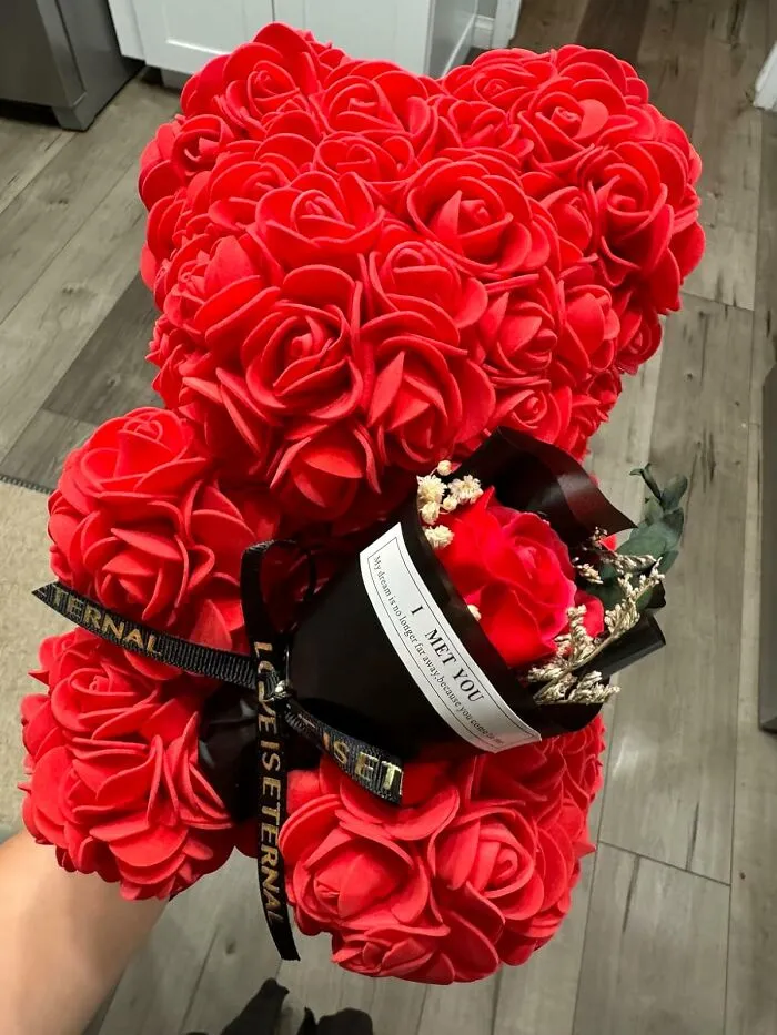 A Gift That Screams "I Love You Fur-Ever!" The <a Style="Display:inline;" Href="Https://Www.amazon.com/Kymake-Teddy-Necklace-Language-Christmas/Dp/B0bxp4h5y4?ie=utf8&th=1&linkcode=ll1&tag=bpcheetah-20&linkid=d9e813cd40f9fcfd4e494dce478b4170&language=en_us&ref_=as_li_ss_tl" Target="_blank"><span Style="Font: Inherit; Color: #d74b1f;"> Eternal Rose Teddybear With A Necklace </Span> Is The Most Extra Way To Show Your Love, It’s A Cute, Cuddly, Romantic Gift All In One