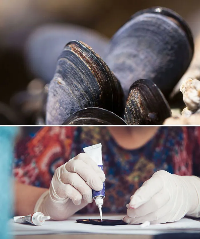 Adhesives