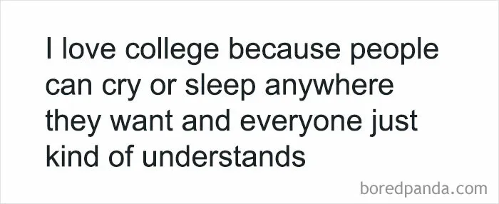 30 Funny Student Memes That Show What Life Is Like At College