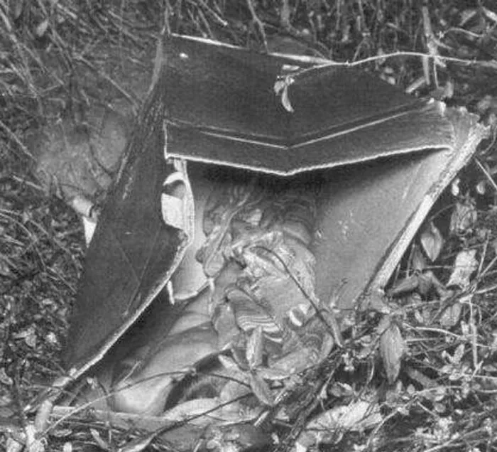 30 Baffling Unsolved True Crime Cases That Are Not For The Faint-Hearted