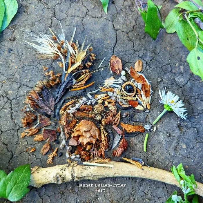 This Artist Works In Nature And Uses Only The Materials Available To Create Beautiful Artwork (43 Pics)