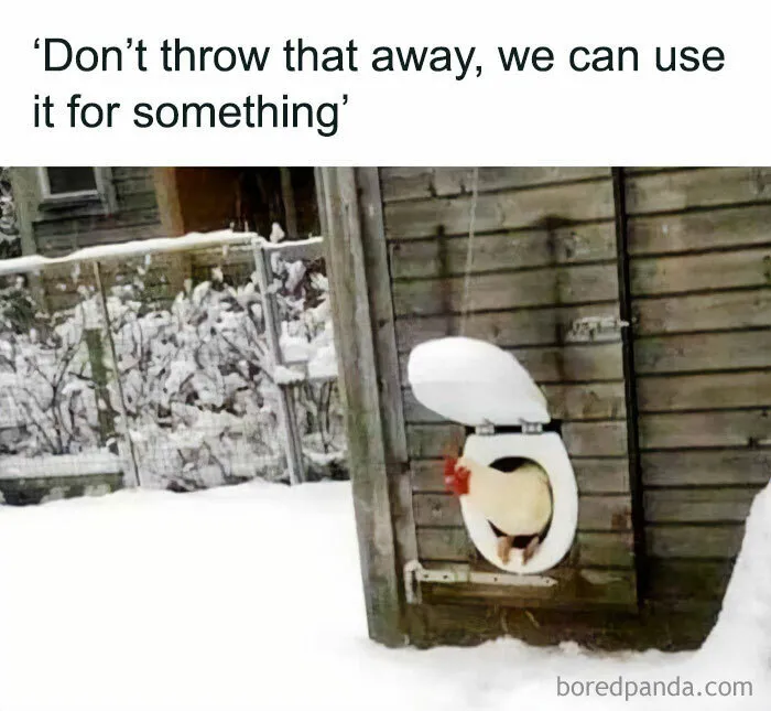 50 Funny Memes That Show Why Country Living Isn’t As Peaceful As You Think