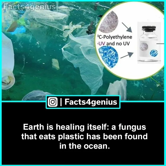 50 Posts From “Facts For Genius” That Might Teach You Something New (New Pics)