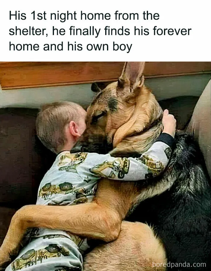 50 Wholesome Pics That Hit Harder Than A Pixar Montage (Best Of All Time)