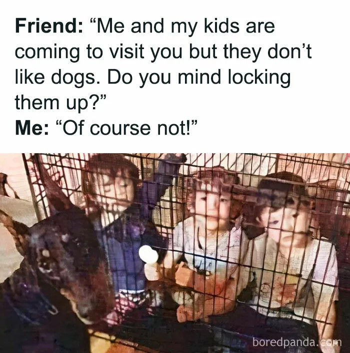 50 Funny Dog Memes For Anyone Who Has A Dog