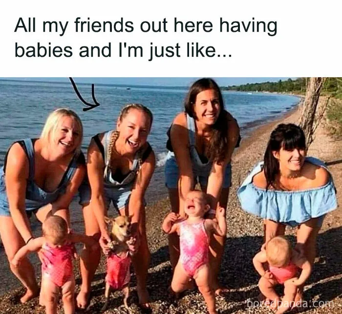 50 Funny Dog Memes For Anyone Who Has A Dog