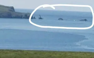 50 Times People Found Such Strange Things On Google Earth, They Had To Share Them (New Pics)