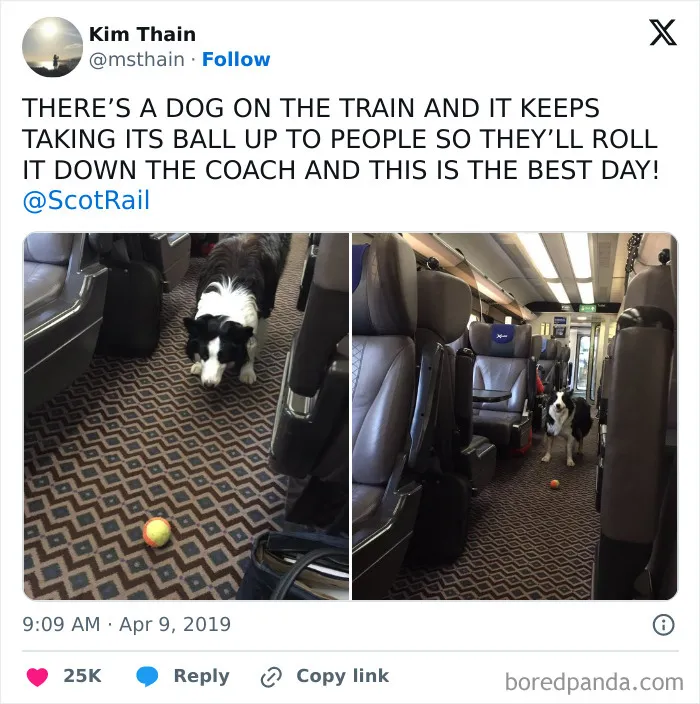 This Has Made My Morning