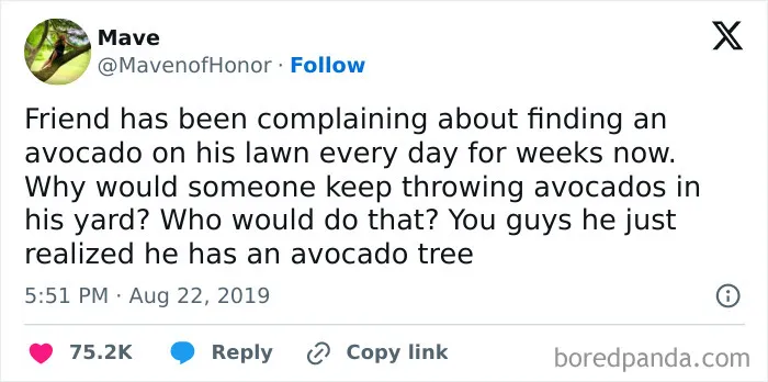 Does He Know How Expensive Avocados Are?! Why Would He Complain About Free Ones?