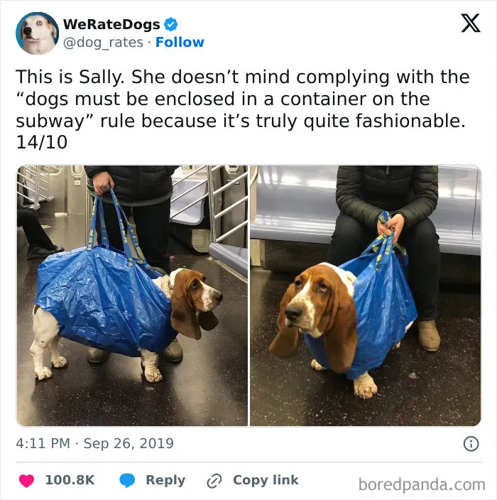 Sally Is A True Fashion Icon