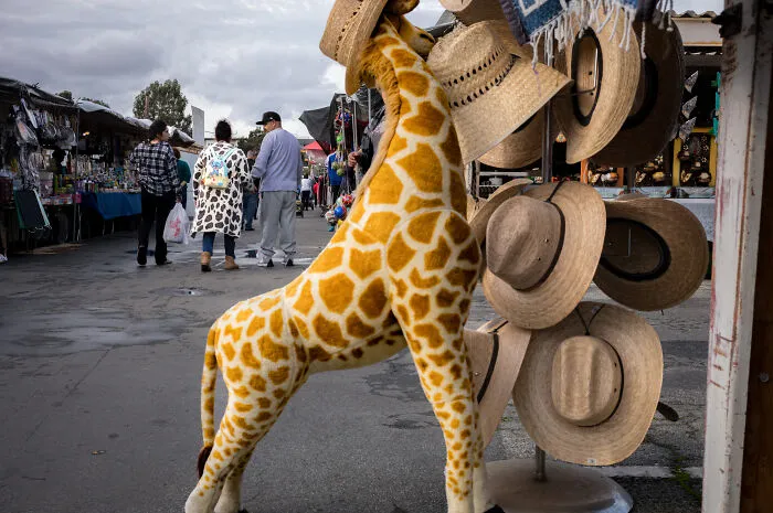 I Photographed The Soul Of A Flea Market Before It’s Gone Forever (18 Pics)