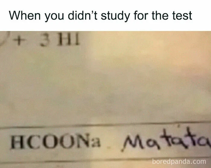 30 Funny Student Memes That Show What Life Is Like At College
