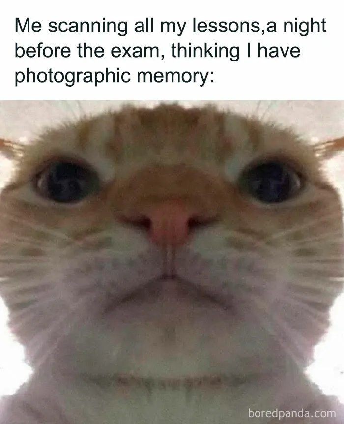 30 Funny Student Memes That Show What Life Is Like At College