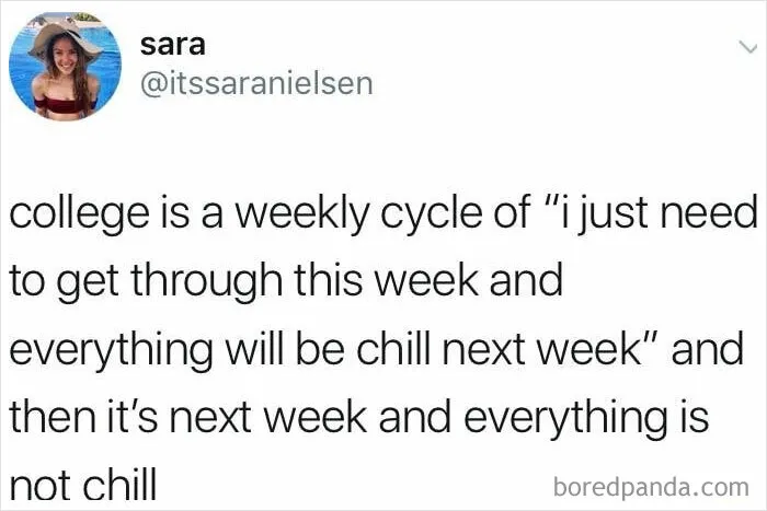 30 Funny Student Memes That Show What Life Is Like At College