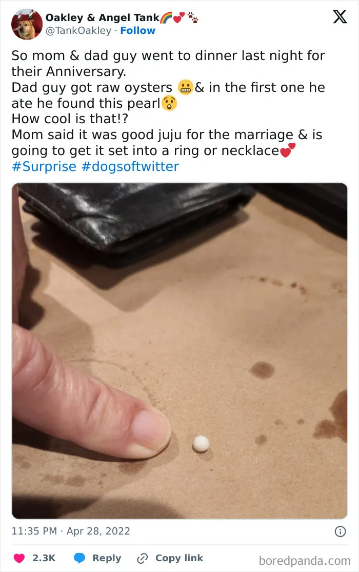 Finger pointing at pearl found in oyster, showcasing a funny-wholesome-anniversary-surprise.