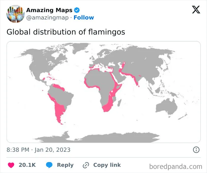 35 Awesome Maps That Show The World Through History, Humor, And Hidden Truths