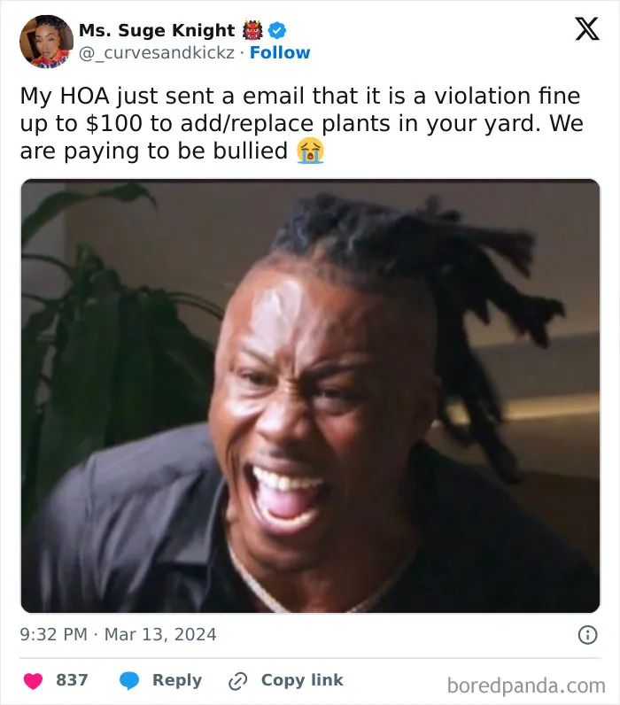 I Debated Replying With “Sending Fines About Plants When We Haven’t Had A Working Gate And A Security Guard That Can Run Past 5 Seconds Is Wild. I Will See You At The Next Meeting”