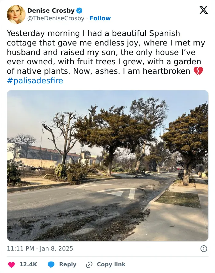 “If God Wanted It To Rain… He Would Have Done It”: Devastating Fires Engulf LA (30 Pics)