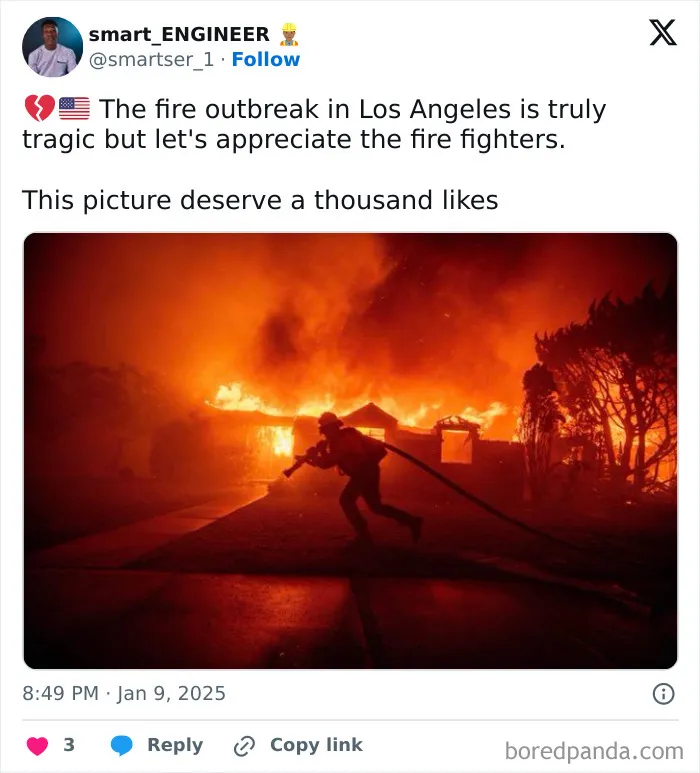 In The Midst Of The LA Fires, 28 Wholesome Moments Offer A Glimpse Of What Really Matters