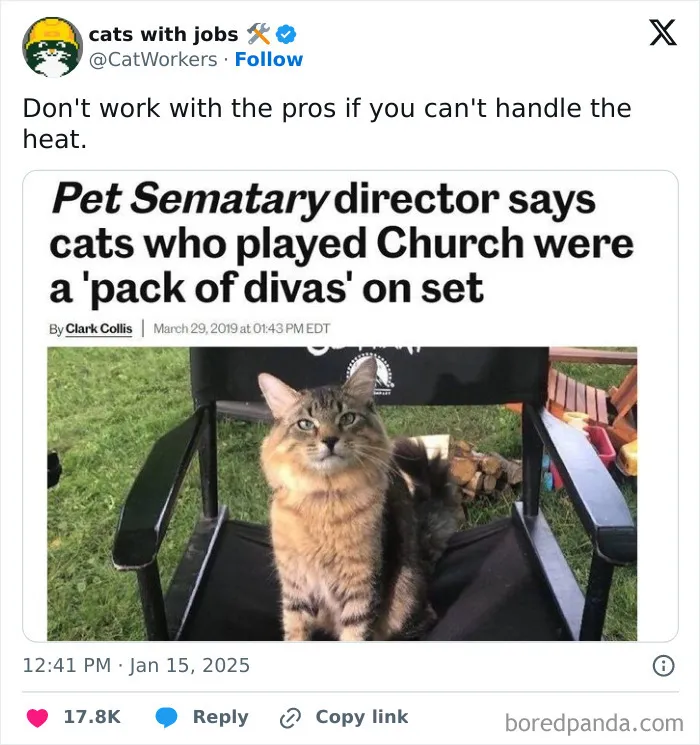 50 Of The Funniest Tweets You Might Have Missed This Month