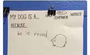 Misunderstandings That Resulted In These 50 Hilarious Fails