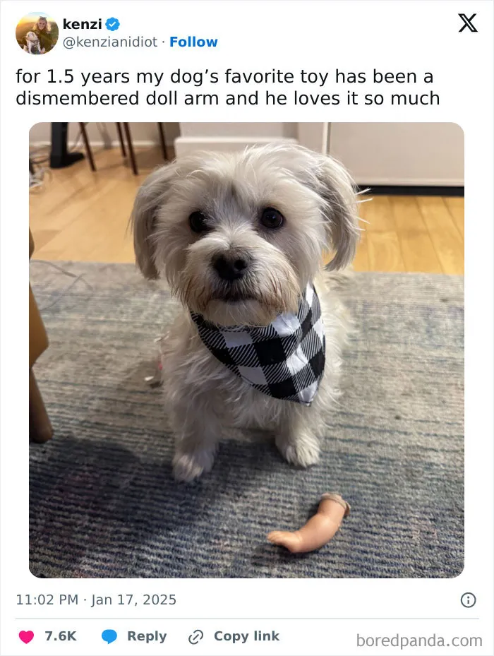 50 Of The Funniest Tweets You Might Have Missed This Month