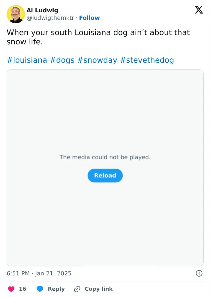 The Tail-Wagging Friends Of Louisiana Have Spoken