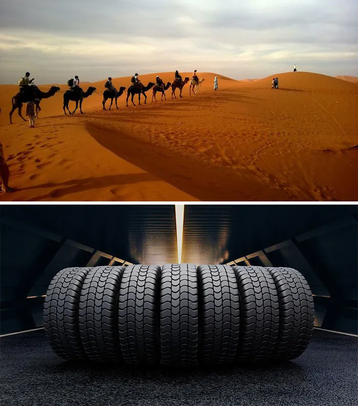 Lunar Rover Tires