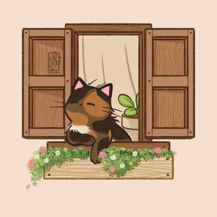 "Cat’s Window"
