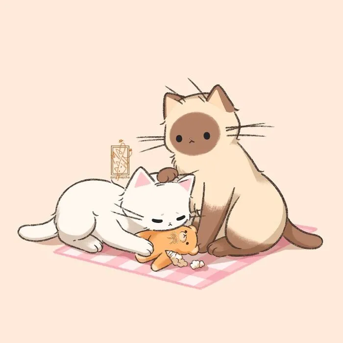 "Best Friend"