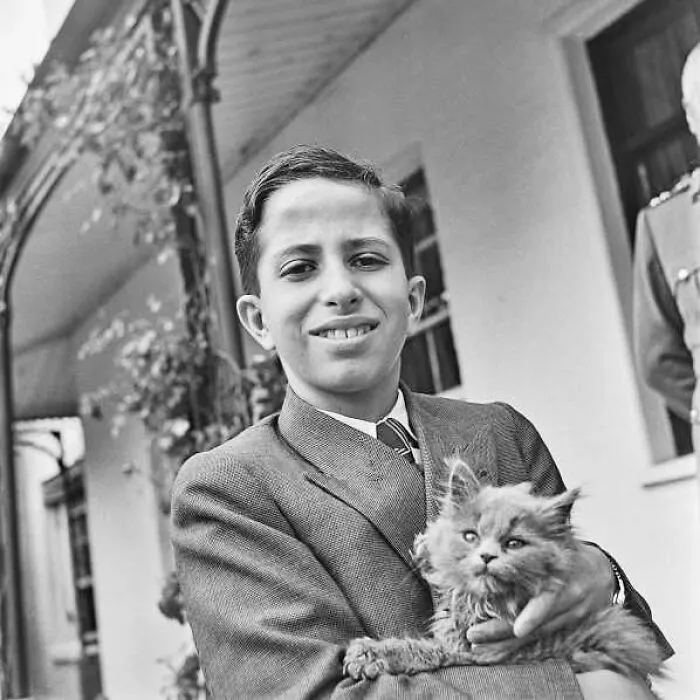 Faisal II With One Of His Three Persian Kittens. Windsor, United Kingdom, 1946