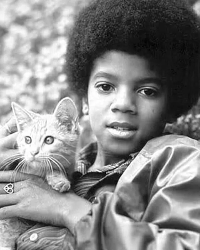 Michael Jackson Posing With A Kitten In The 1970s