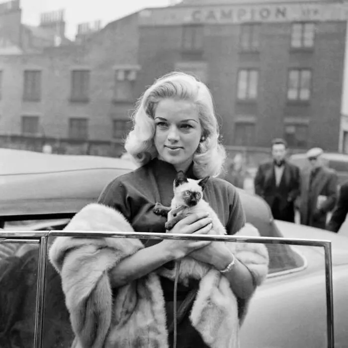 British Actress And Singer Diana Dors. London, United Kingdom, 1957
