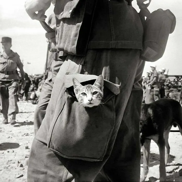 Ancient Indochina, 1956