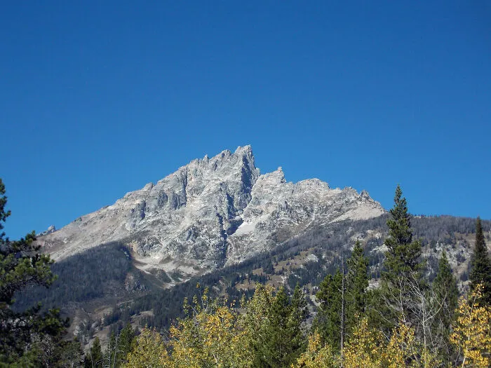 Mountain peaks under a clear blue sky with forest in the foreground, showcasing amazing views in the states.