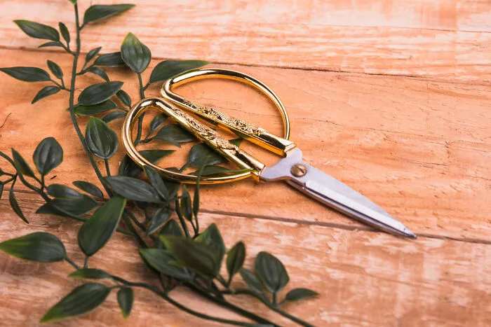 30 People Share Their Non-Negotiable Household Rules, And Some Are Downright Bizarre