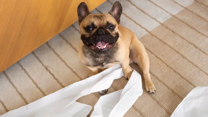 30 People Share Their Non-Negotiable Household Rules, And Some Are Downright Bizarre