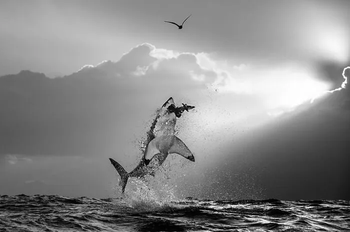 This Page Shares The Most Fascinating Photos, And Here Are The 42 Newest Ones