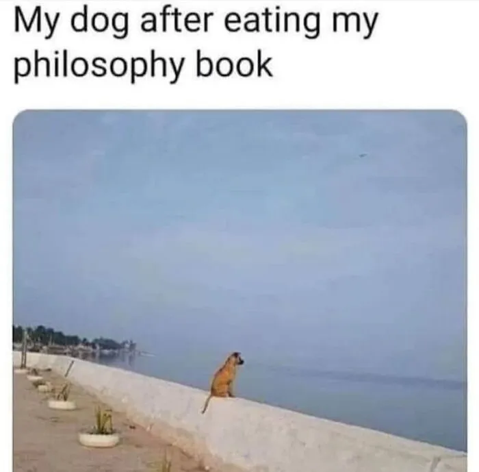 Say Goodbye To Boredom With These 39 Memes That Will Make You Laugh Out Loud