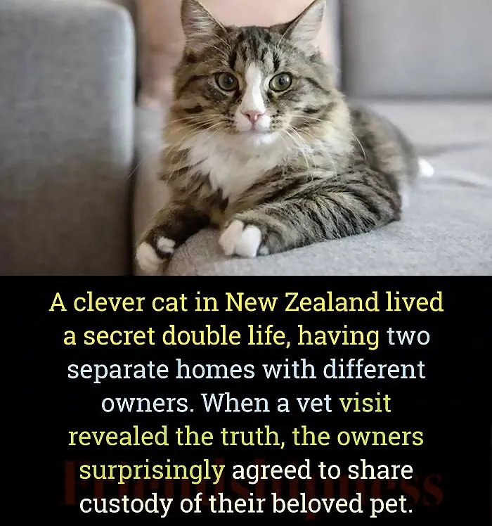 30 Fun, Interesting, And Strange Facts You Might Not Have Heard Of Before