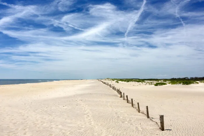 Beach with clear skies and wooden posts on sand, showcasing amazing views in the states.