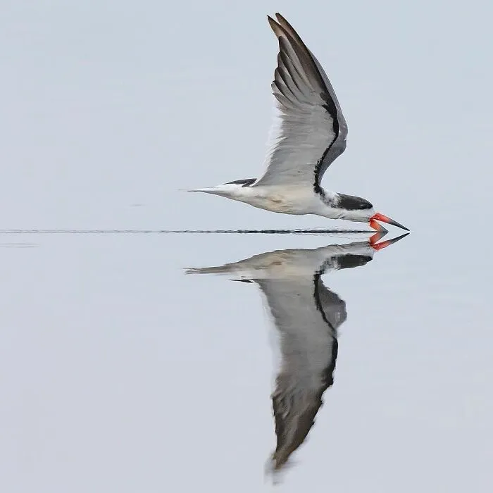 This Page Shares The Most Fascinating Photos, And Here Are The 42 Newest Ones