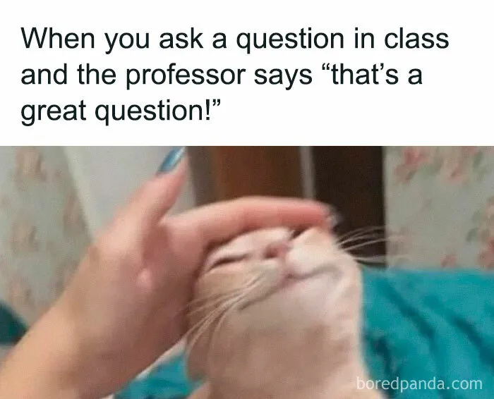 30 Funny Student Memes That Show What Life Is Like At College