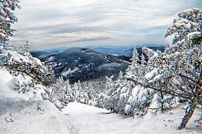 Snowy mountain landscape with trees in a serene state, offering amazing views.