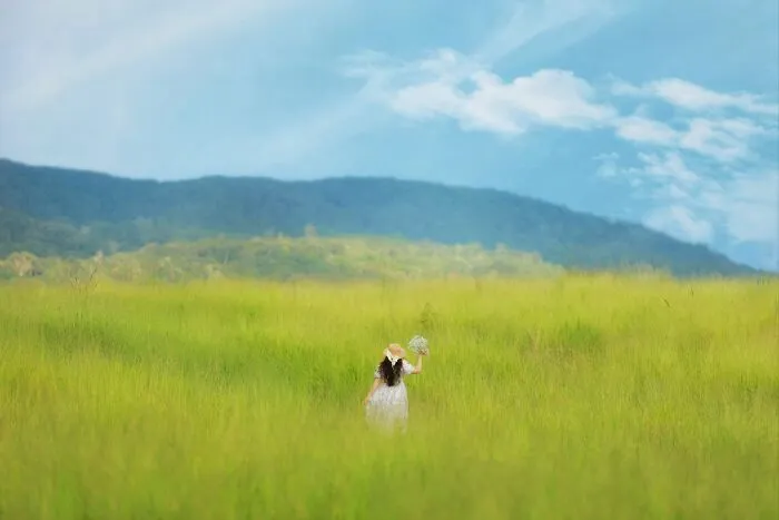 I Took Pictures Of The Most Beautiful Grass Hill In Vietnam (10 Pics)